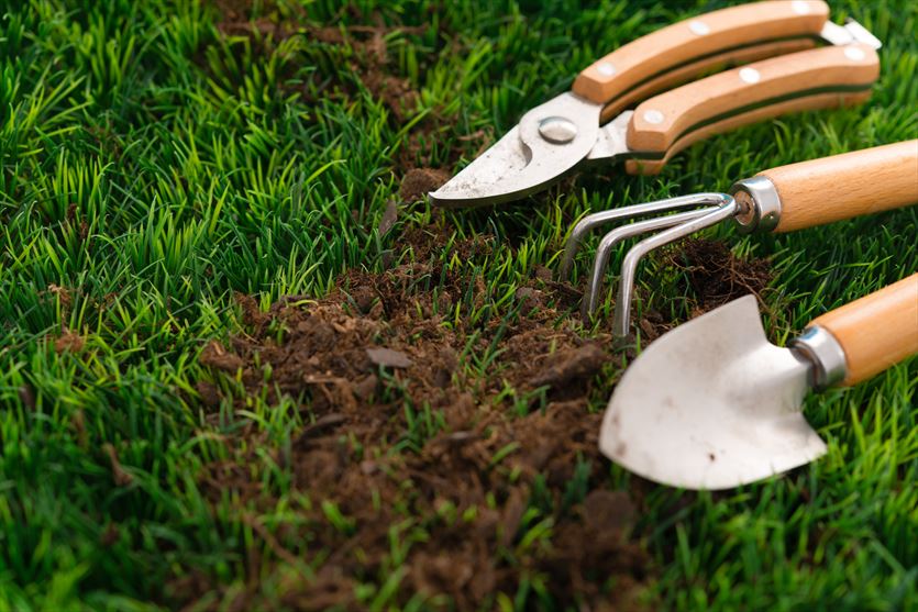 Sprzedaż sprzętu ogrodniczego, Taxus Przedsiębiorstwo handlowo-usługowo-produkcyjne Stanisław Piotrowski, Wieliczka